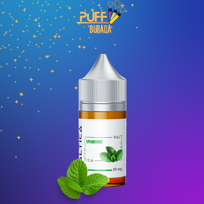 saltica-spear-mint-salt-likit