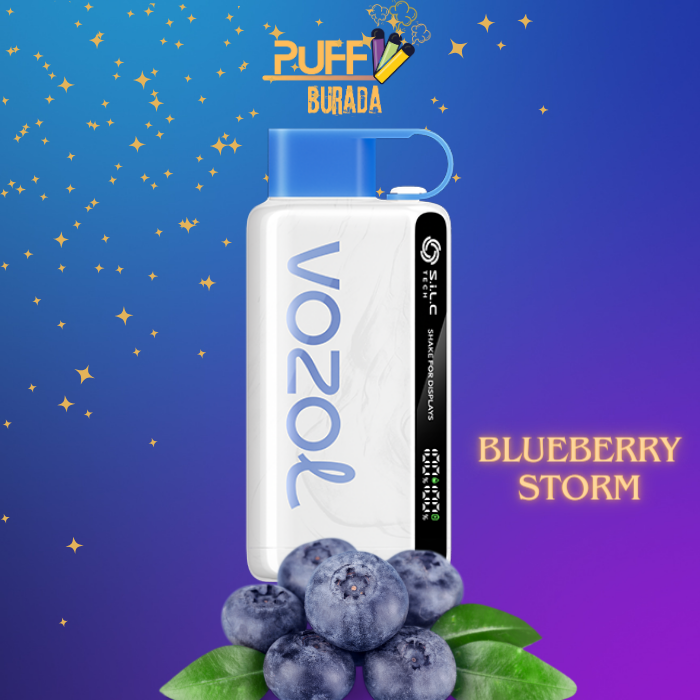 vozol 12000 blueberry storm
