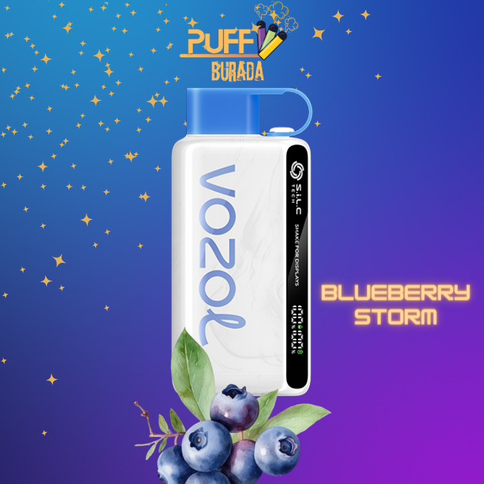 vozol star 12000 puff blueberry storm