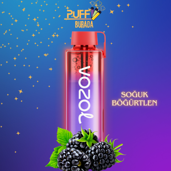 vozol neon 10000 blackberry ıce