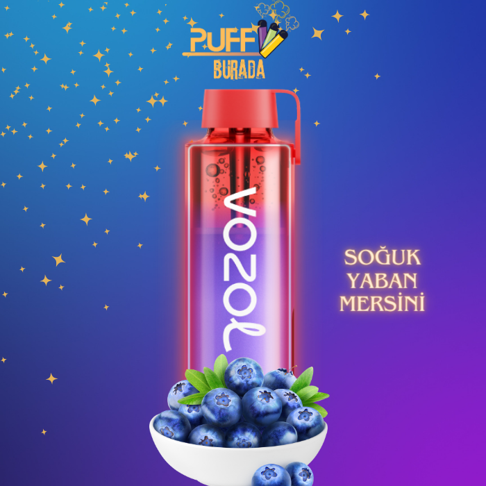 vozol neon 10000 bluerazz ıce