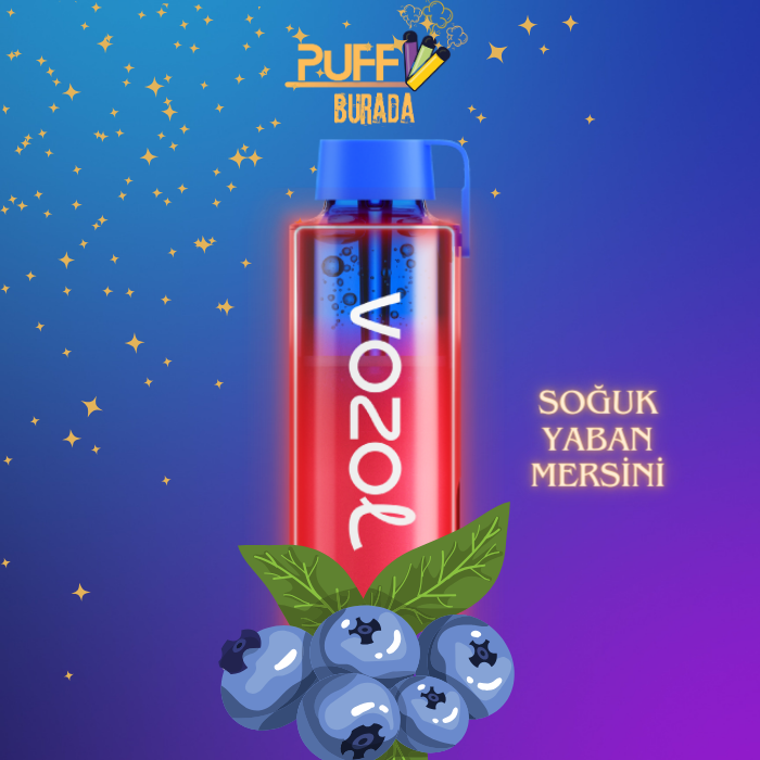 vozol neon 10000 bueberry ıce