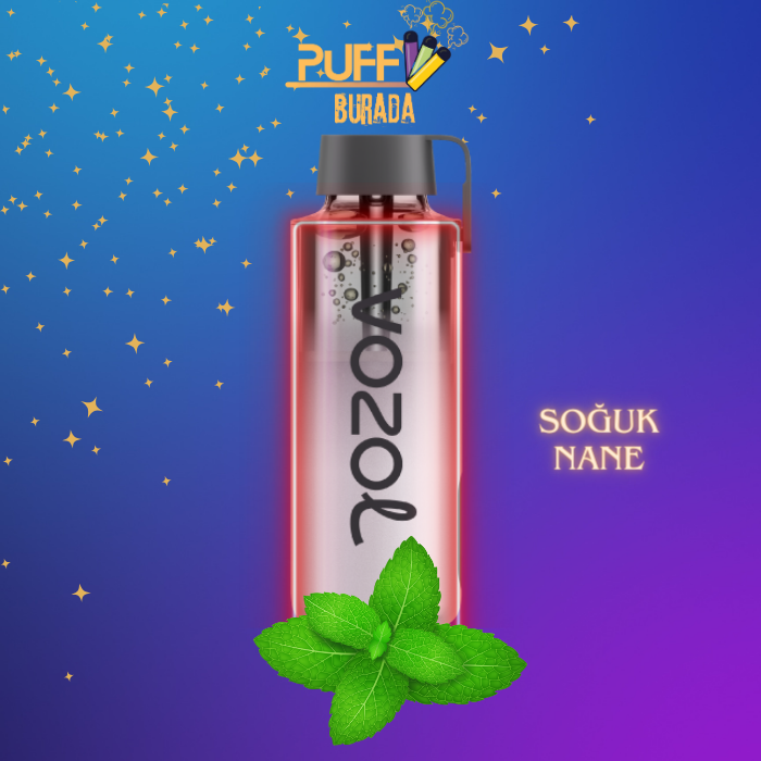 vozol neon 10000 cool mint