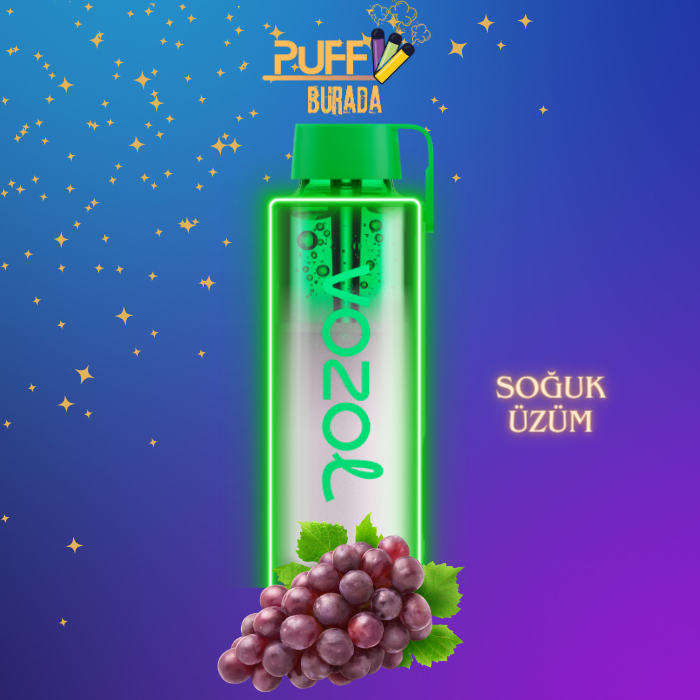 vozol neon 10000 grape ıce