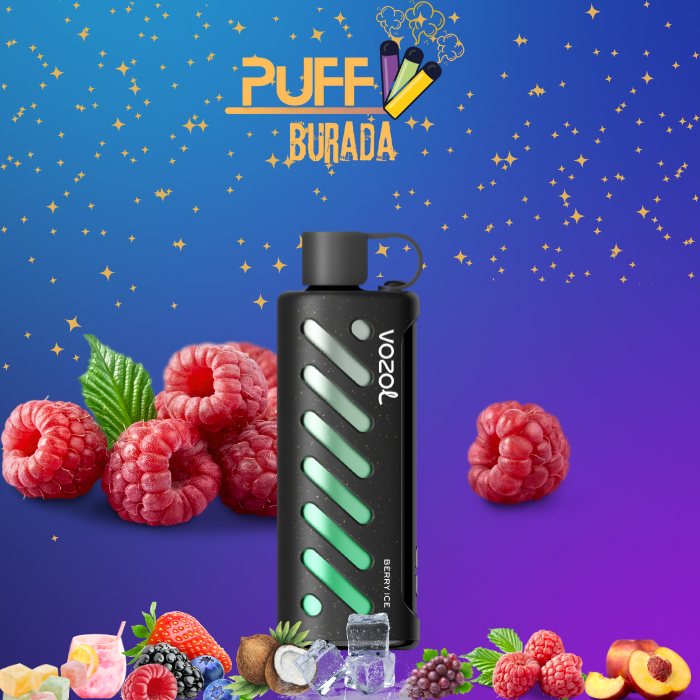 vozol-gear-shisha-berry-ice-25000-puffs