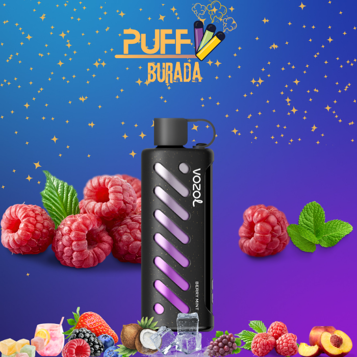 vozol-gear-shisha-berry-mint-25000-puffs