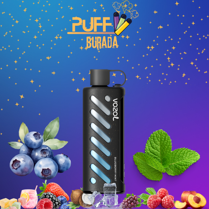 vozol-gear-shisha-blueberry-mint-25000-puffs