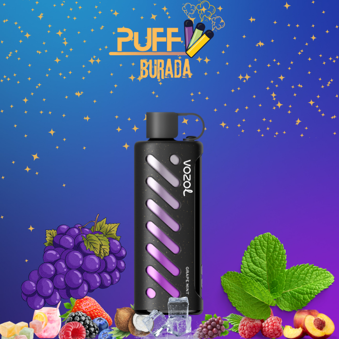 vozol-gear-shisha-grape-mint-25000-puffs