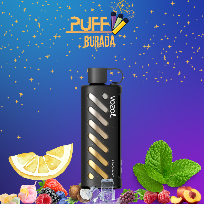 vozol-gear-shisha-lemon-mint-25000-puffs