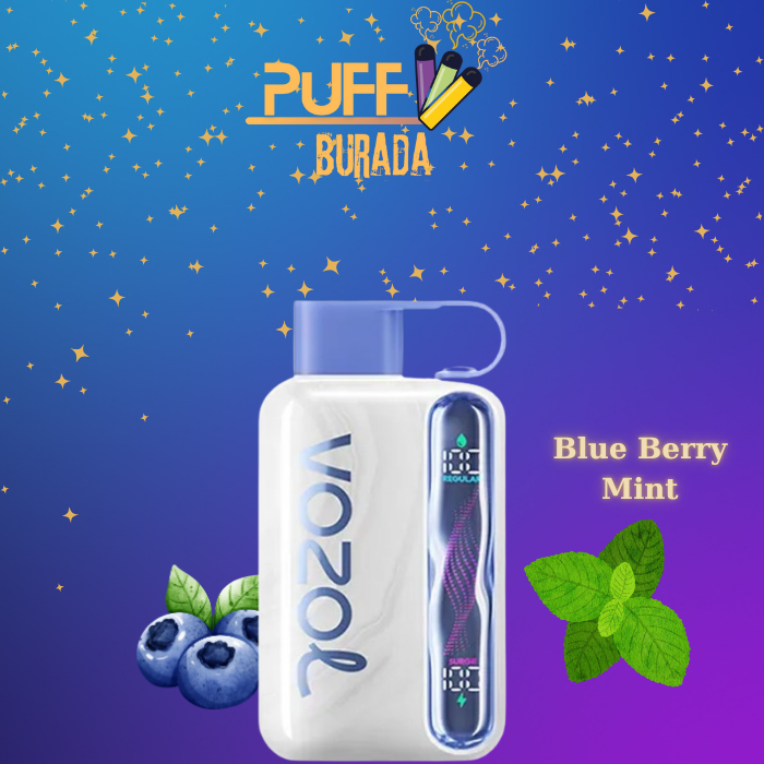 vozol-star-40000-blueberry-mint